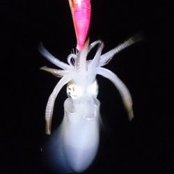 まだまだリリースサイズ！