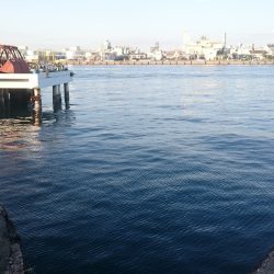 食品コンビナートサビキ釣り