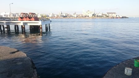 食品コンビナートサビキ釣り