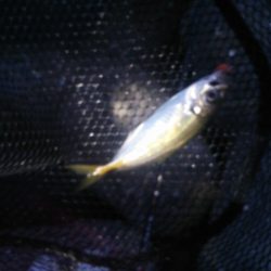 フロートアジング