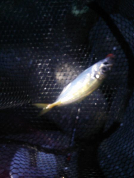 フロートアジング