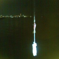 明石～神戸エギング