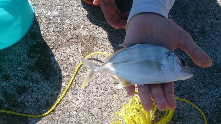 メッキは？どこ？