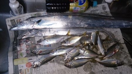 両親との釣行