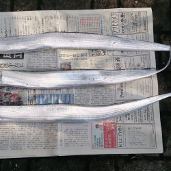 ナイロンハリス