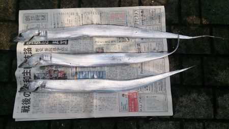 ナイロンハリス