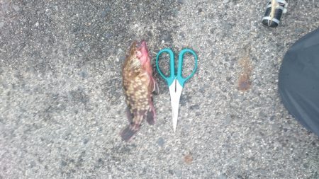 デイアジングもあり