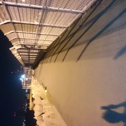 陽はまだありましたが