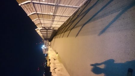 陽はまだありましたが