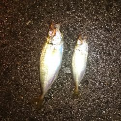 台風あけの様子は、