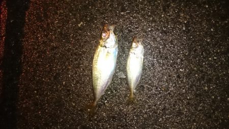 台風あけの様子は、