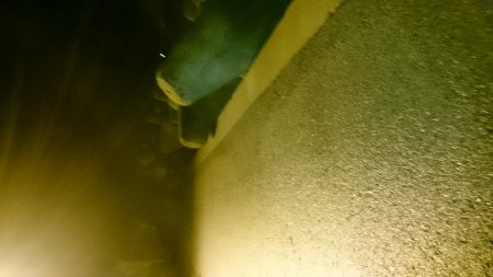 もうすっかり秋っぽくなりました