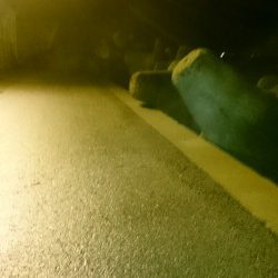 もうすっかり秋っぽくなりました