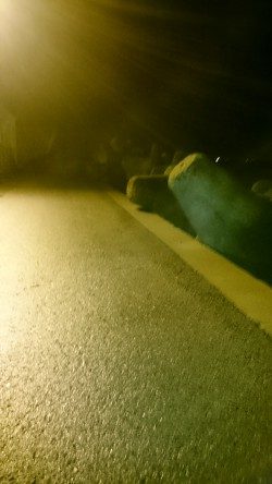 もうすっかり秋っぽくなりました