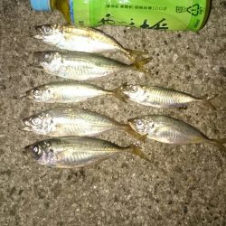 シルバーウィーク 楽しんでます