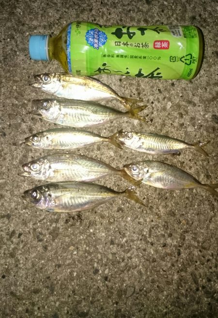 シルバーウィーク 楽しんでます