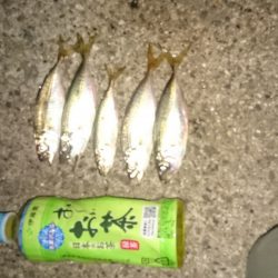 やっぱりアジが好き