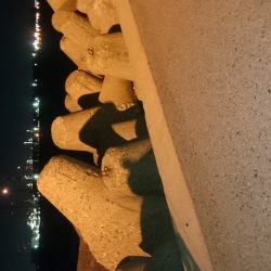 今季、初ワインド