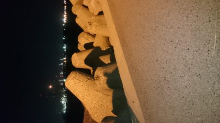 今季、初ワインド