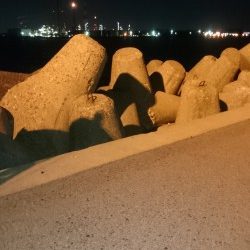 今季、初ワインド