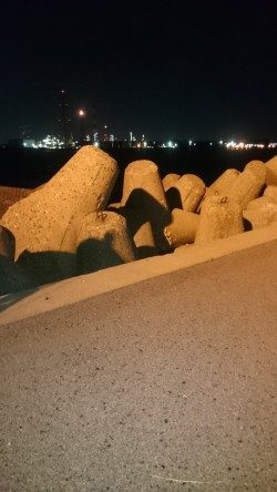 今季、初ワインド