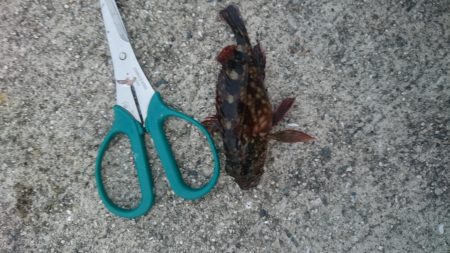 シルバーウィークは皆勤賞