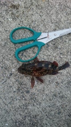 シルバーウィークは皆勤賞