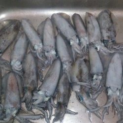 後半戦～お昼まで