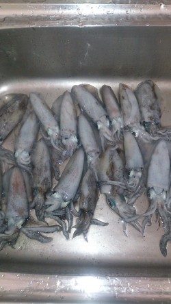 後半戦～お昼まで