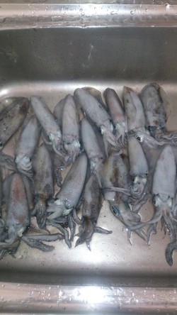 後半戦～お昼まで