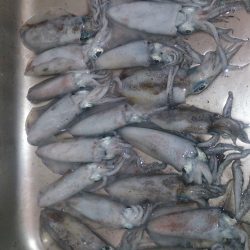 後半戦～お昼まで