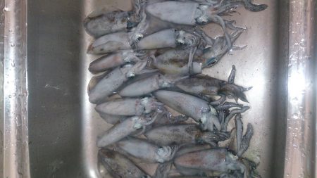 後半戦～お昼まで