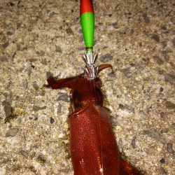 今夜は真面目に？(笑)