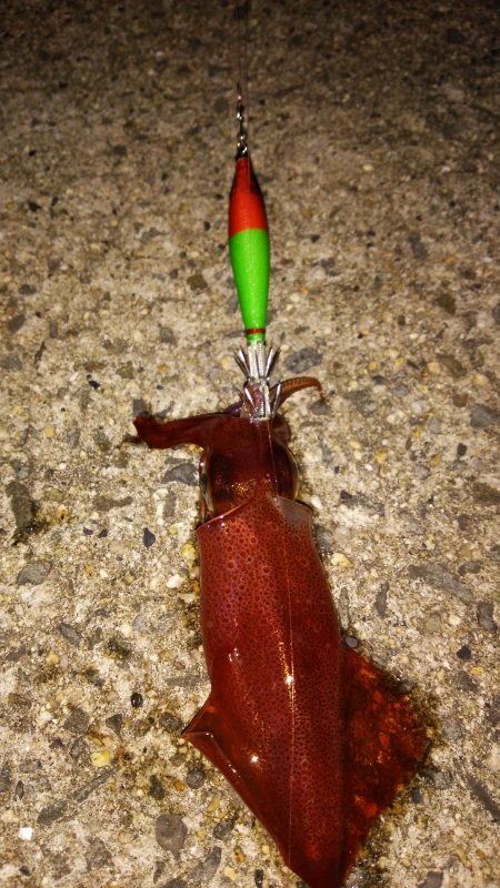 今夜は真面目に？(笑)