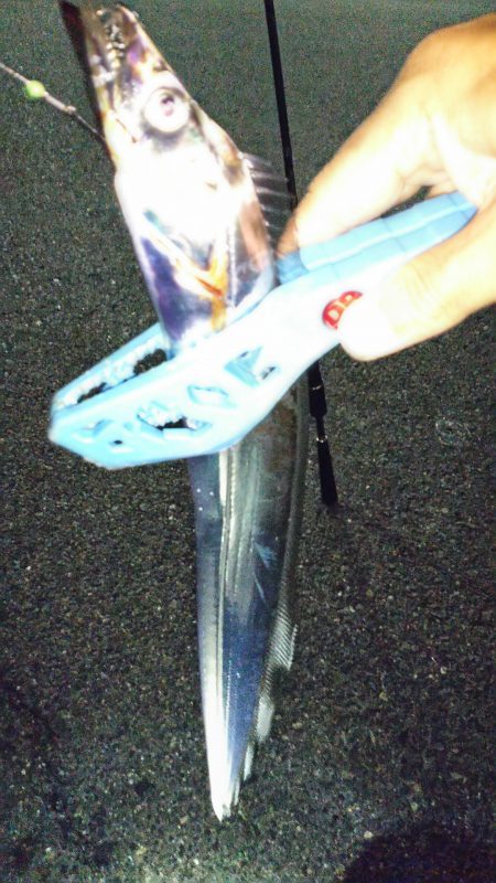 神戸湾奥でゆっくりのんびりタチウオのウキ釣…