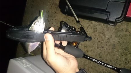 アジング釣行記