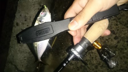 アジング釣行記