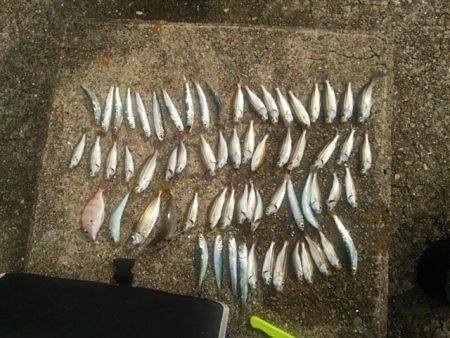 ファミリーで楽しみました♪