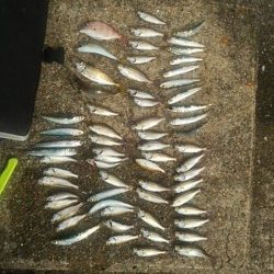 ファミリーで楽しみました♪