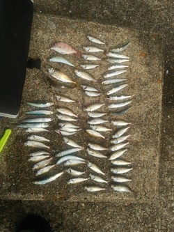 ファミリーで楽しみました♪