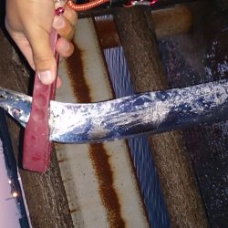 忠岡高場にて太刀魚