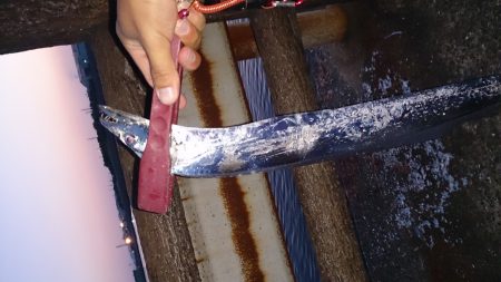 忠岡高場にて太刀魚