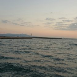 淡路島2日目もカワハギ…