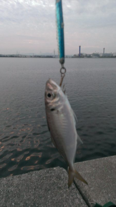 タチウオ不発！