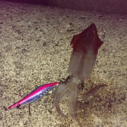 ライトエギング