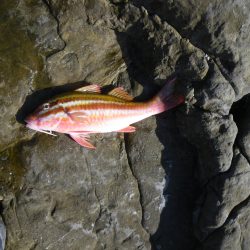 シルバーウィーク遠征初日