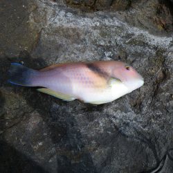 シルバーウィーク遠征2日目