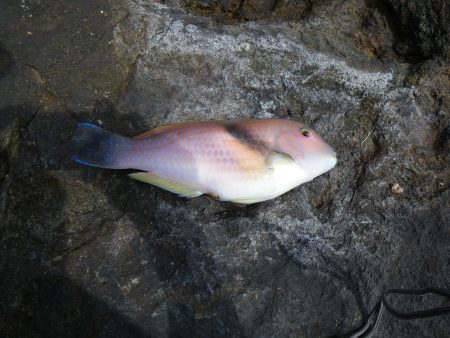 シルバーウィーク遠征2日目