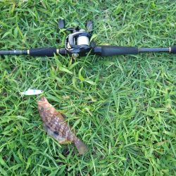 舞鶴ランガン（初日）