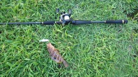 舞鶴ランガン（初日）